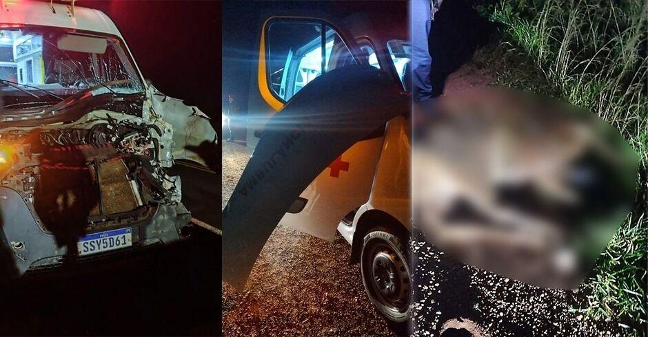 Ambulância de Ivinhema fica destruída após acidente com bezerro na MS-276  