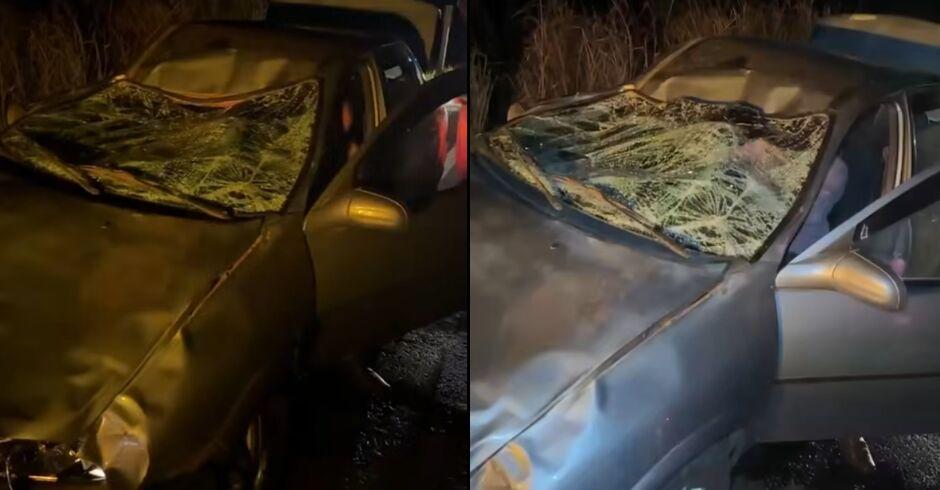 Boi invade pista, provoca acidente e deixa dois feridos em Deodápolis  