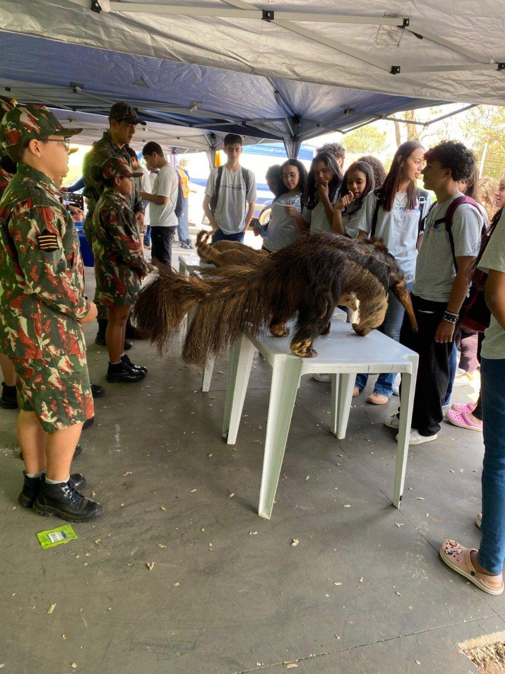 Educação que inspira: Projeto "Florestinha" brilha no “Avança Juventude” e aproxima jovens da natureza