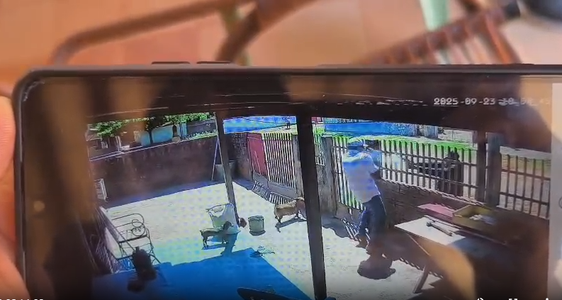 Câmera registra perseguição e frieza em assassinato dentro de casa em Bela Vista  