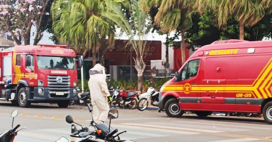 Enxame de abelhas ataca pedestres e ciclistas em praça central de Paranaíba  