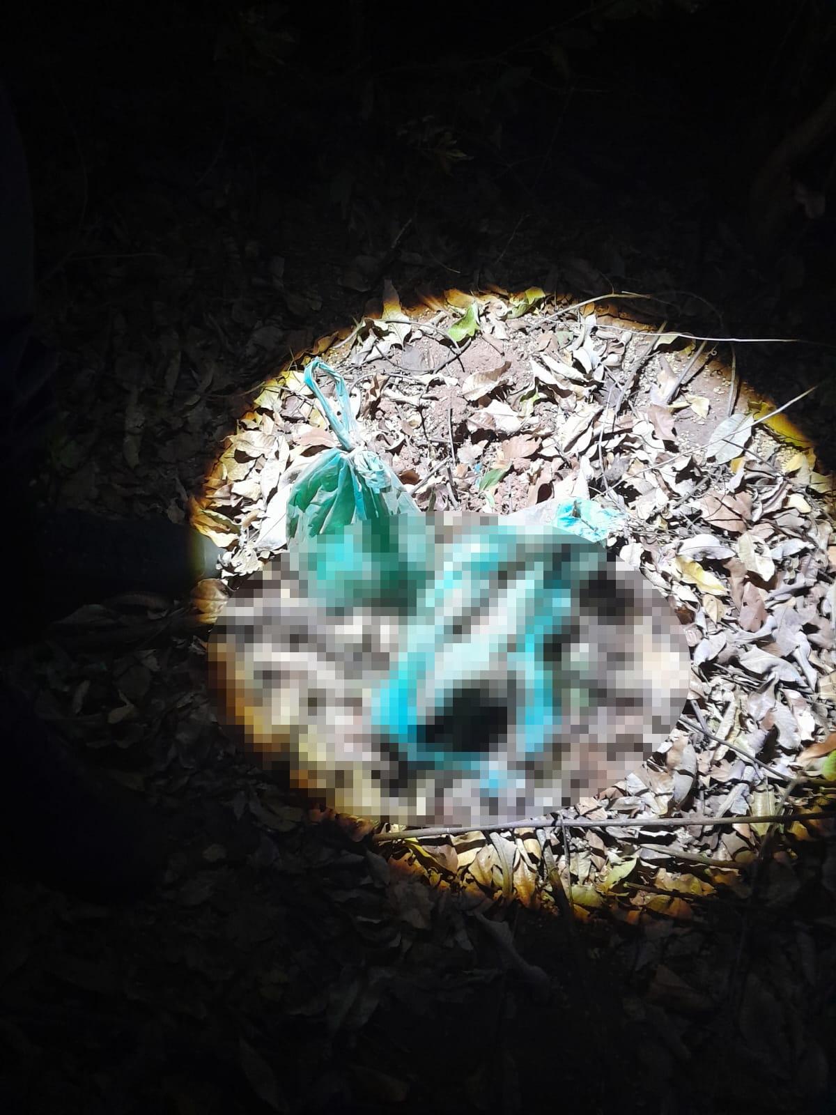 Jovens de 18 e 19 anos abortam bebê e ocultam corpo em área de mata em Três Lagoas