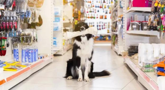 PROCON divulga pesquisa de preços de produtos para pets em Três Lagoas