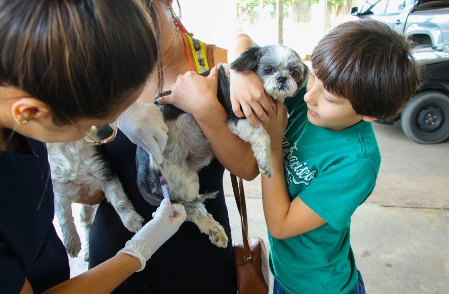 Campanha de vacinação antirrábica imuniza mais de 5 mil animais em Três Lagoas
