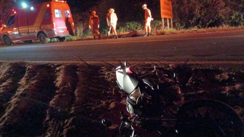 Moto atinge anta em rodovia MS-040; dois ficam feridos e animal morre 