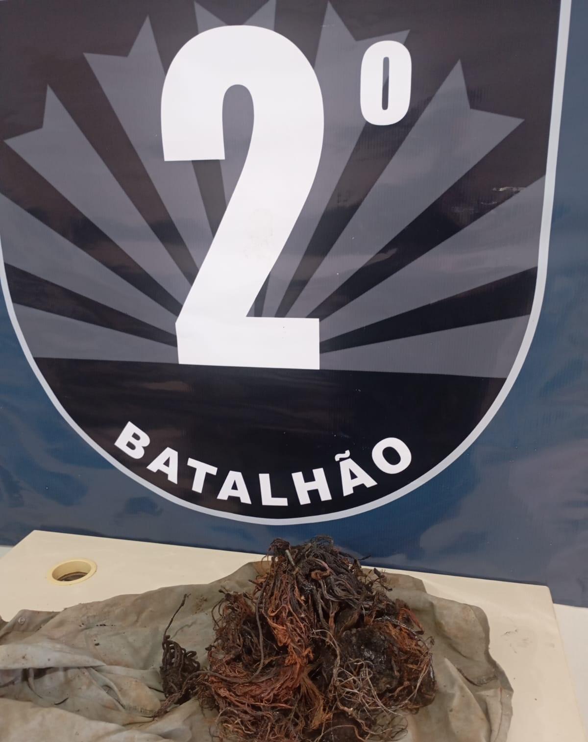 Antiga “chácara da Vandréia” vira ponto de usuários; foragido é encontrado no local queimando fios 