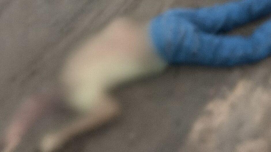 Homem tem cabeça esmagada durante acidente na BR-262, em Ribas do Rio Pardo  