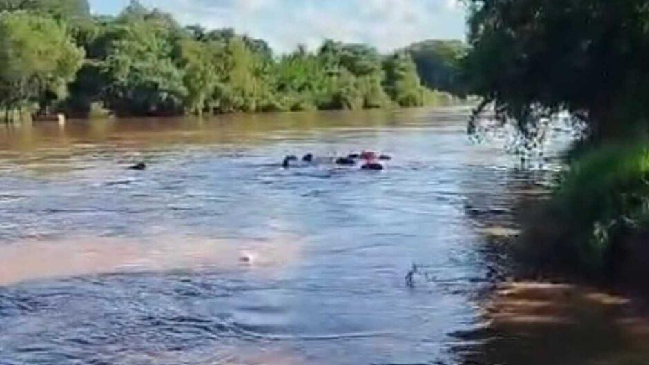Caminhonete cai de balsa e motorista desaparece no Rio Apa em MS