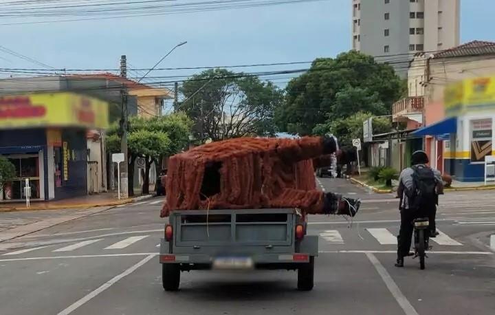 Capivara gigante é retirada da Lagoa Maior após reprovação técnica da Prefeitura de Três Lagoas