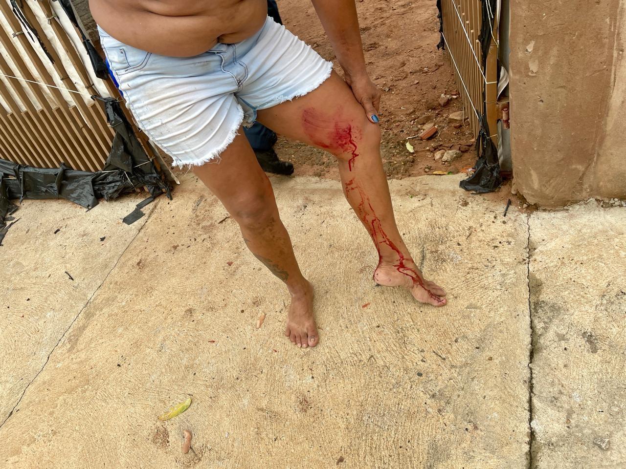 PM descobre plantação de maconha em residência após briga familiar que por pouco não feriu criança de 5 anos que estava em piscina de plástico