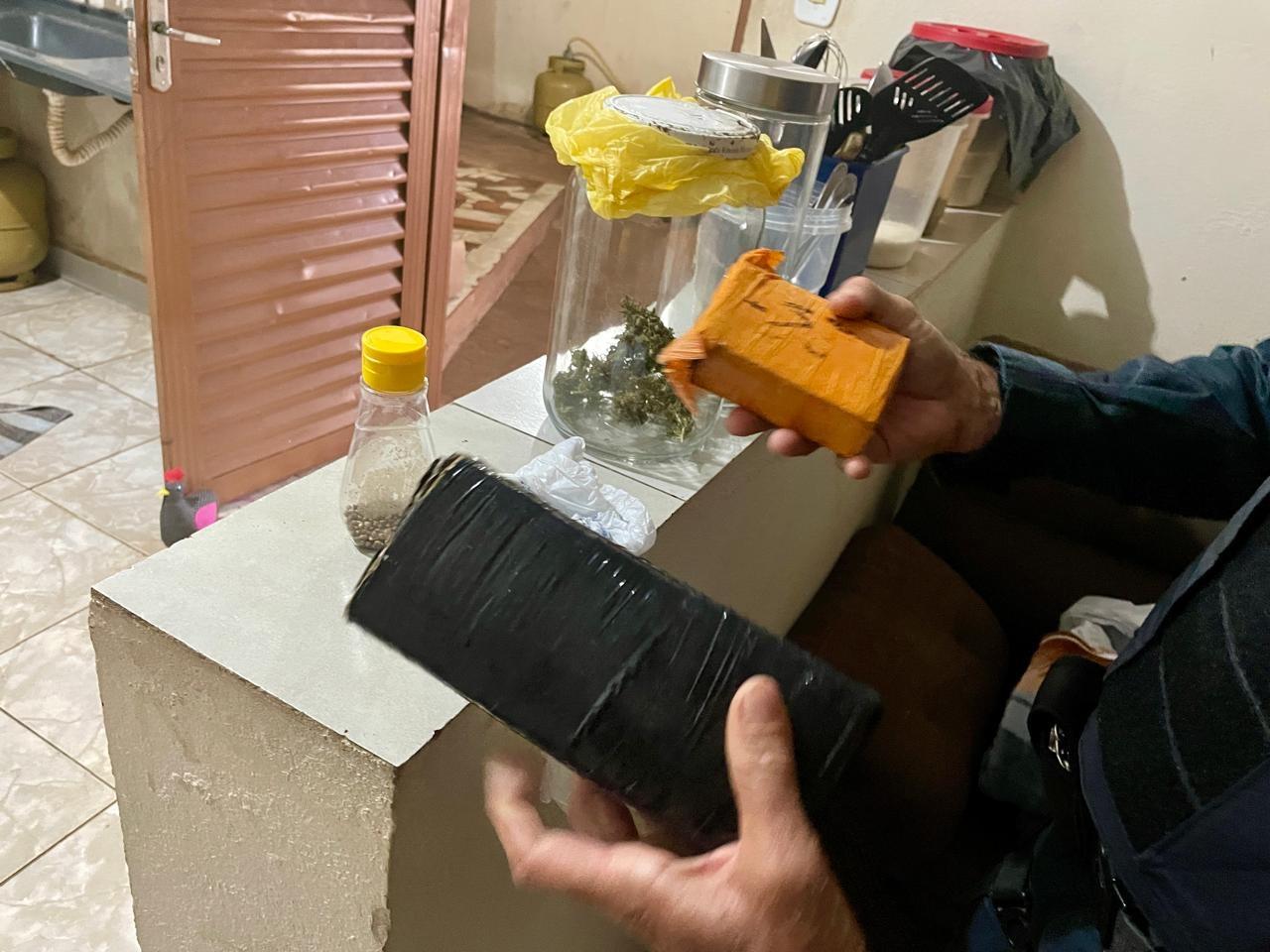 PM descobre plantação de maconha em residência após briga familiar que por pouco não feriu criança de 5 anos que estava em piscina de plástico