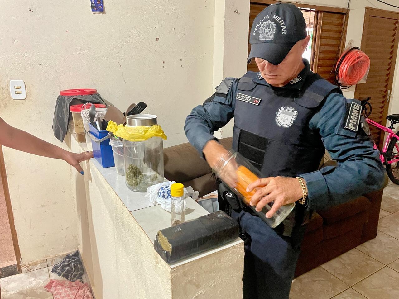 PM descobre plantação de maconha em residência após briga familiar que por pouco não feriu criança de 5 anos que estava em piscina de plástico