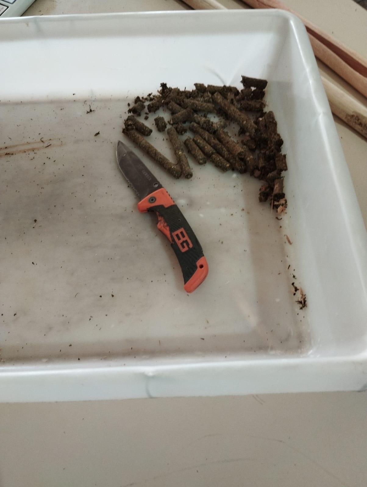 Visitante tenta entrar com maconha escondida dentro de cabo de vassoura e acaba presa na penitenciária masculina de Três Lagoas Visitante tenta entrar com maconha escondida dentro de cabo de vassoura e acaba presa na penitenciária masculina de Três Lagoas