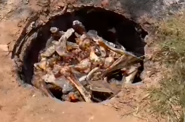 Além do lixo, até ossadas são descartados em terreno no bairro Vila Haro em Três Lagoas 