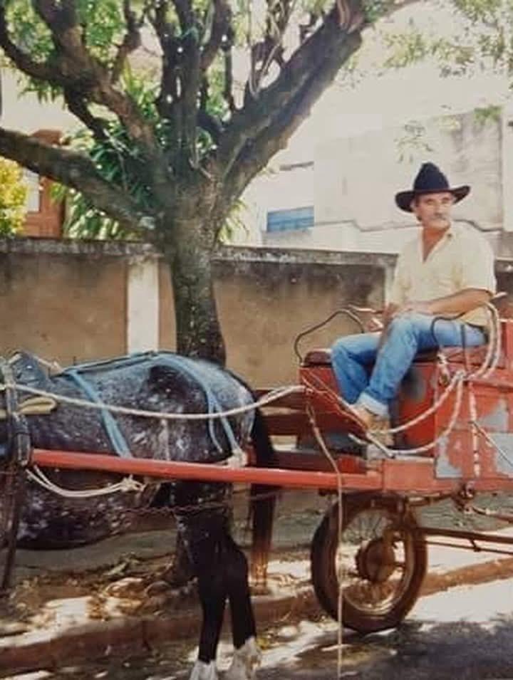 Você se lembra? Quando Três Lagoas acordava com o leiteiro, o pão quentinho e a carroça do bucheiro Você se lembra? Quando Três Lagoas acordava com o leiteiro, o pão quentinho e a carroça do bucheiro