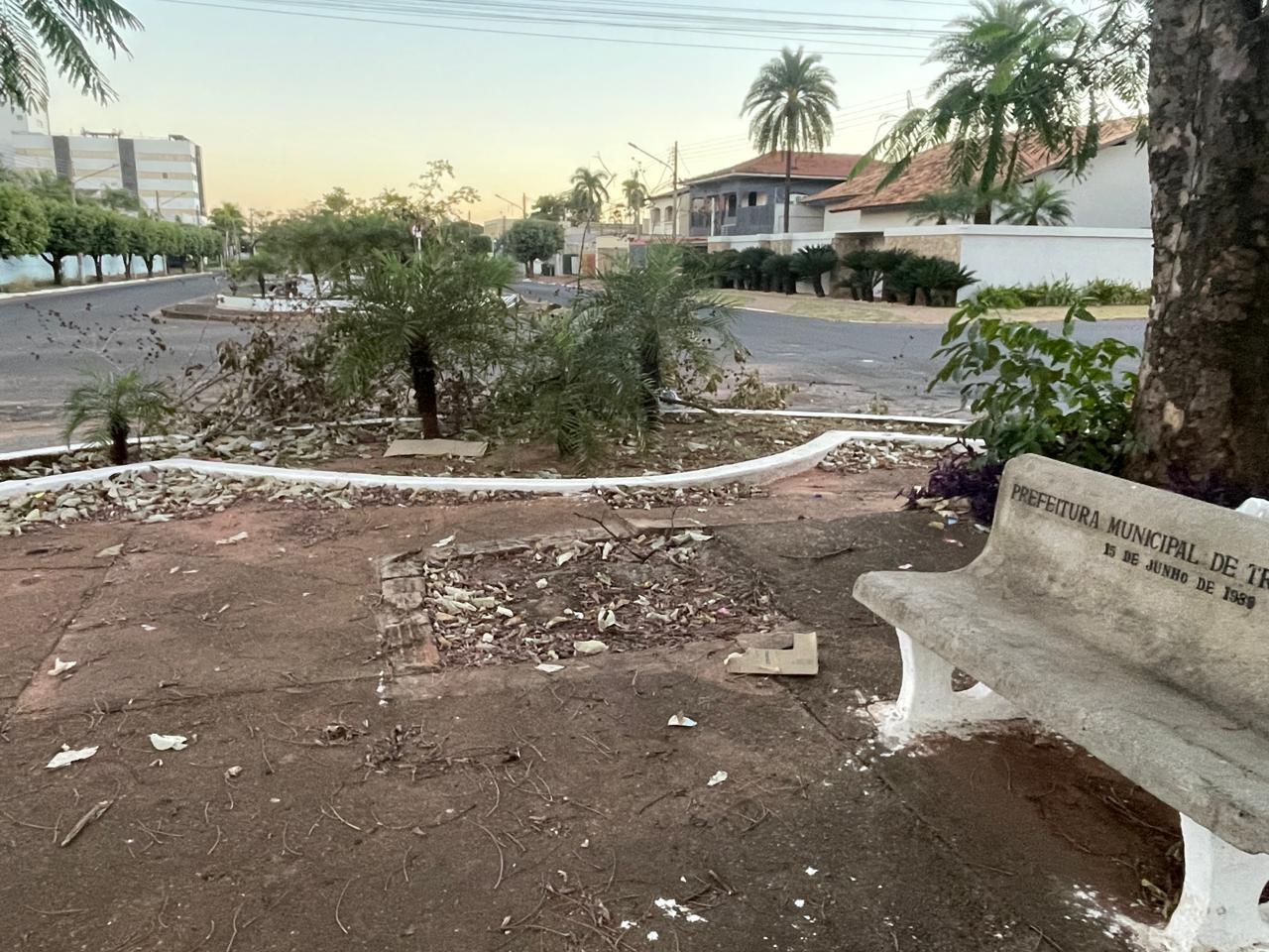Não é só no bairro que acontece: descarte irregular de galhadas também é flagrado no canteiro central de avenida em Três Lagoas Não é só no bairro que acontece: descarte irregular de galhadas também é flagrado no canteiro central de avenida em Três Lagoas