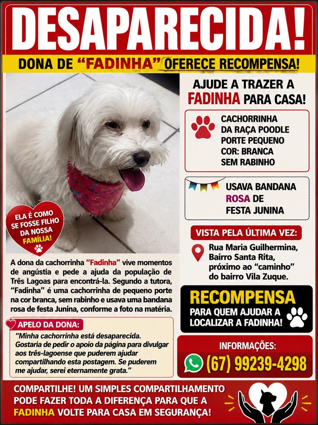 Dona de “Fadinha” oferece recompensa para quem achar a cachorrinha poodle que desapareceu no bairro Santa Rita Dona de “Fadinha” oferece recompensa para quem achar a cachorrinha poodle que desapareceu no bairro Santa Rita