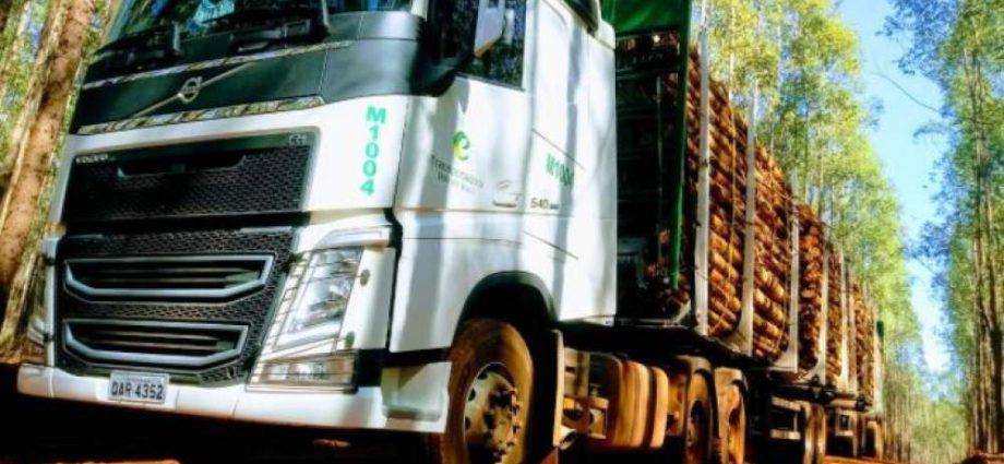Eldorado Brasil abre vagas para Motorista Tritem em Três Lagoas; saiba como se candidatar