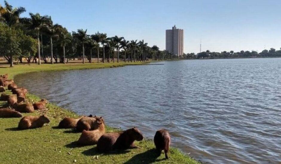Frente fria derruba temperaturas e muda o tempo em Três Lagoas nesta segunda-feira