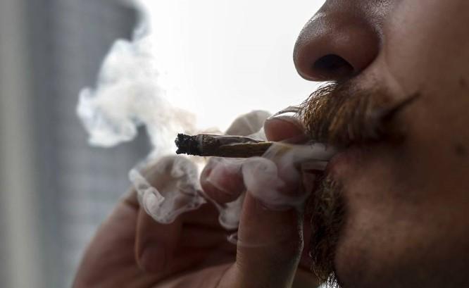 Maconha está ultrapassando álcool e cigarro? 16% dos brasileiros com 14 anos ou mais já experimentaram maconha