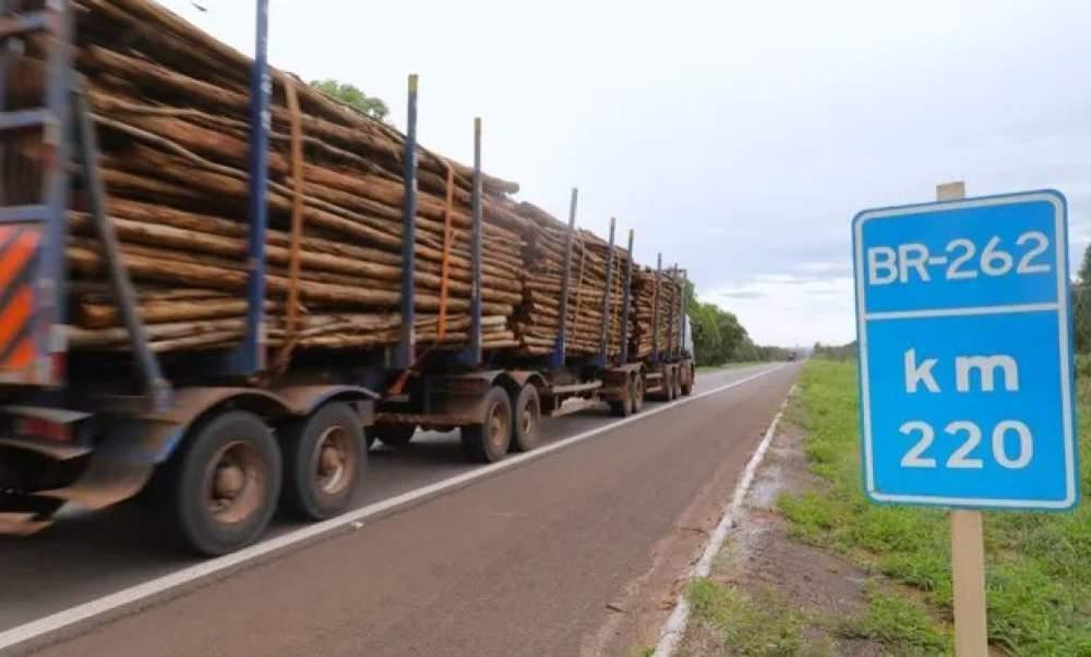Longe dos filhos para garantir o pão: Caminhoneiros e motoristas de ônibus de Três Lagoas passam Dia dos Pais na estrada