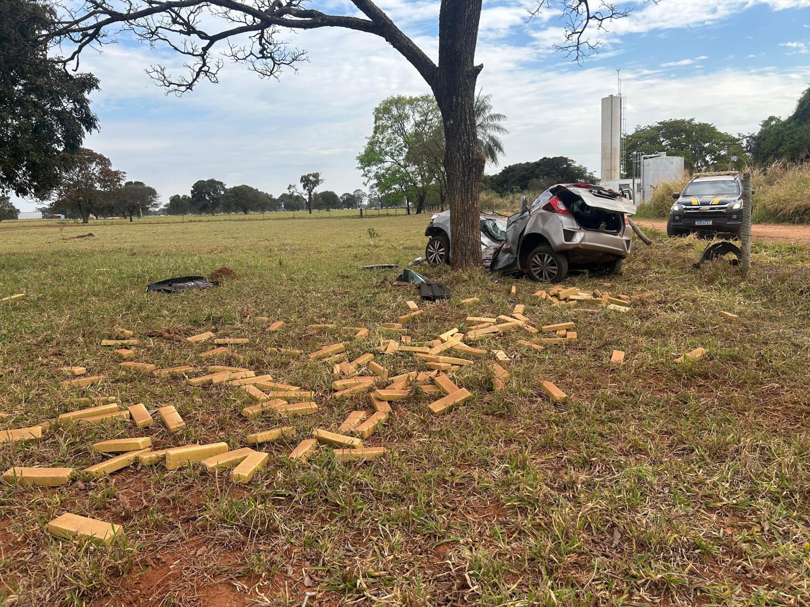 Motorista que fugiu da PRF com 445 kg de maconha morre no hospital em Três Lagoas Motorista que fugiu da PRF com 445 kg de maconha morre no hospital em Três Lagoas