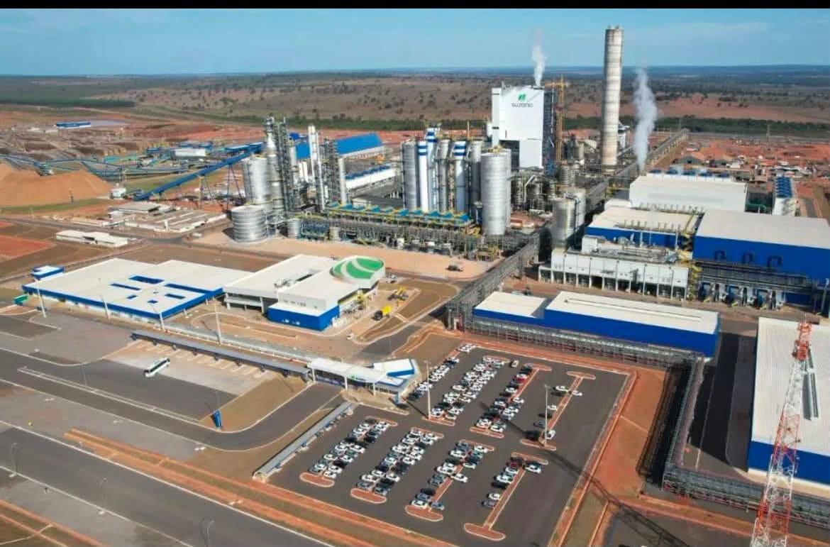 Suzano abre 18 vagas de emprego em Três Lagoas, Brasilândia e Ribas do Rio Pardo; veja cargos e prazos