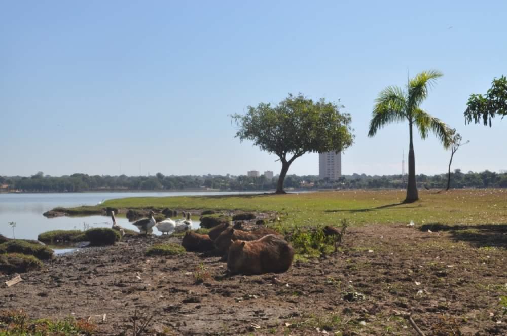 Três Lagoas entra em alerta por baixa umidade; 45 cidades de MS enfrentam tempo extremamente seco