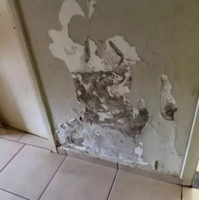 Vergonha em Três Lagoas na gestão de Cassiano Maia que arrecada milhões: Mofo, pragas e áreas interditadas fazem MP cobrar reforma urgente de abrigo municipal Vergonha em Três Lagoas na gestão de Cassiano Maia que arrecada milhões: Mofo, pragas e áreas interditadas fazem MP cobrar reforma urgente de abrigo municipal