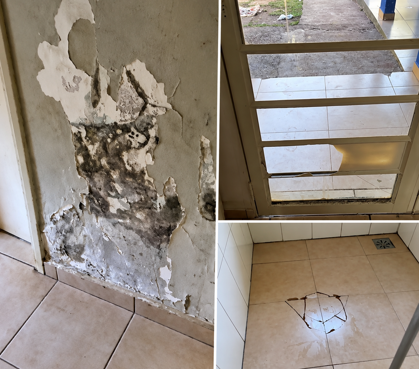 Vergonha em Três Lagoas na gestão de Cassiano Maia que arrecada milhões: Mofo, pragas e áreas interditadas fazem MP cobrar reforma urgente de abrigo municipal