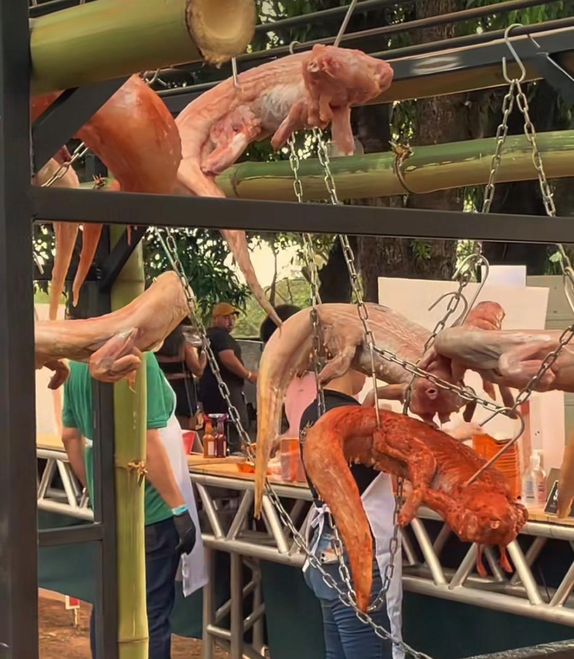 “E choveu, nem cabelo encolheu”: Churrascaje 2026 é sucesso com jacaré, picanha e organização impecável em Três Lagoas “E choveu, nem cabelo encolheu”: Churrascaje 2026 é sucesso com jacaré, picanha e organização impecável em Três Lagoas