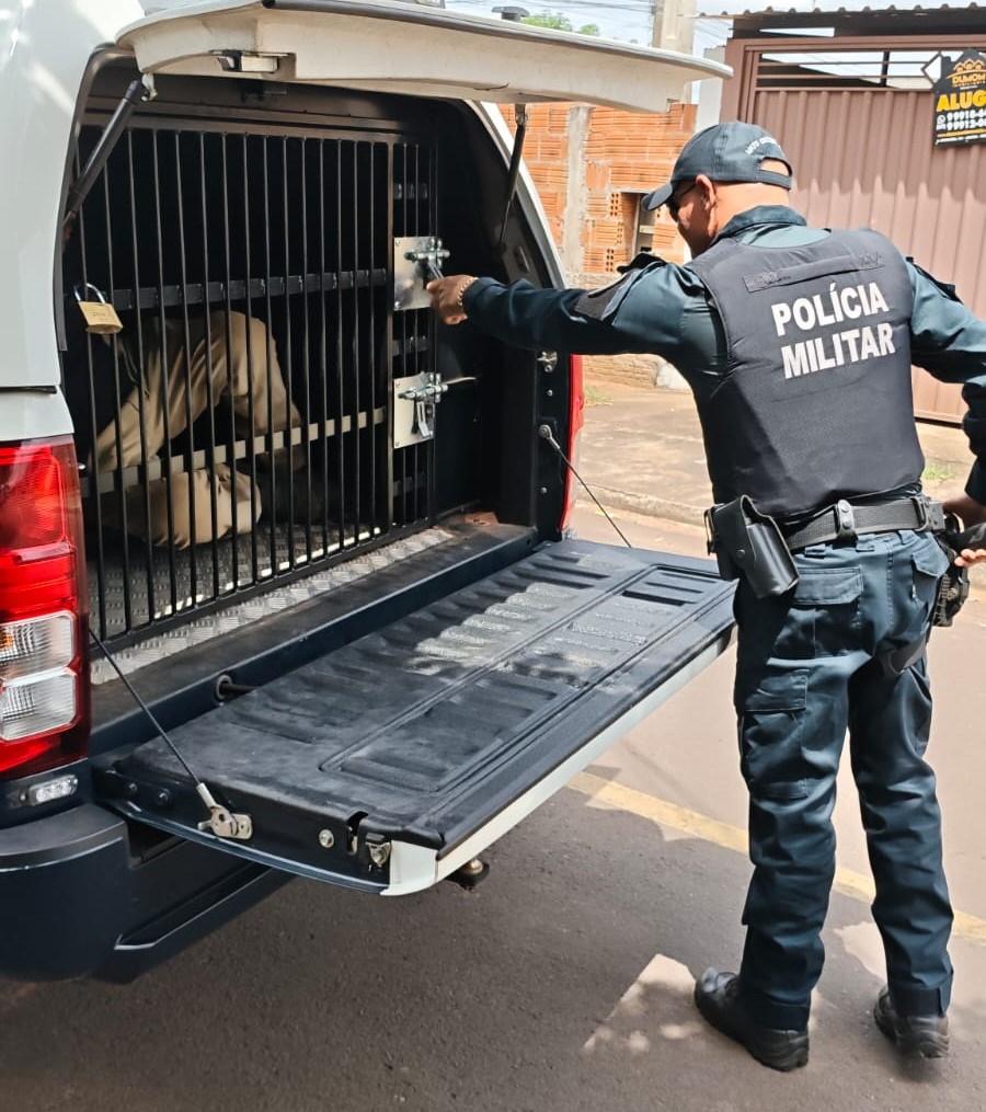 R$ 250 podem parecer pouco, mas deu cadeia de 45 dias em Três Lagoas