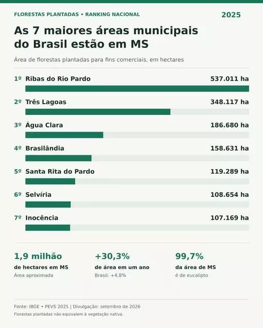 Três Lagoas vira gigante do eucalipto: Cidade é a 2º do Brasil em florestas plantadas com 348,1 mil hectares Três Lagoas vira gigante do eucalipto: Cidade é a 2º do Brasil em florestas plantadas com 348,1 mil hectares
