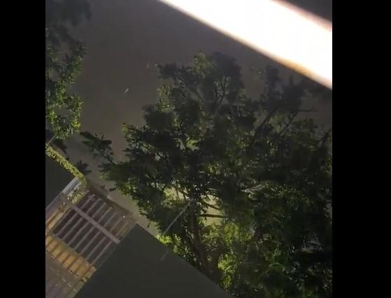 VEJA O VÍDEO: Moradora agradece a Deus pela chegada da chuva em Três Lagoas VEJA O VÍDEO: Moradora agradece a Deus pela chegada da chuva em Três Lagoas