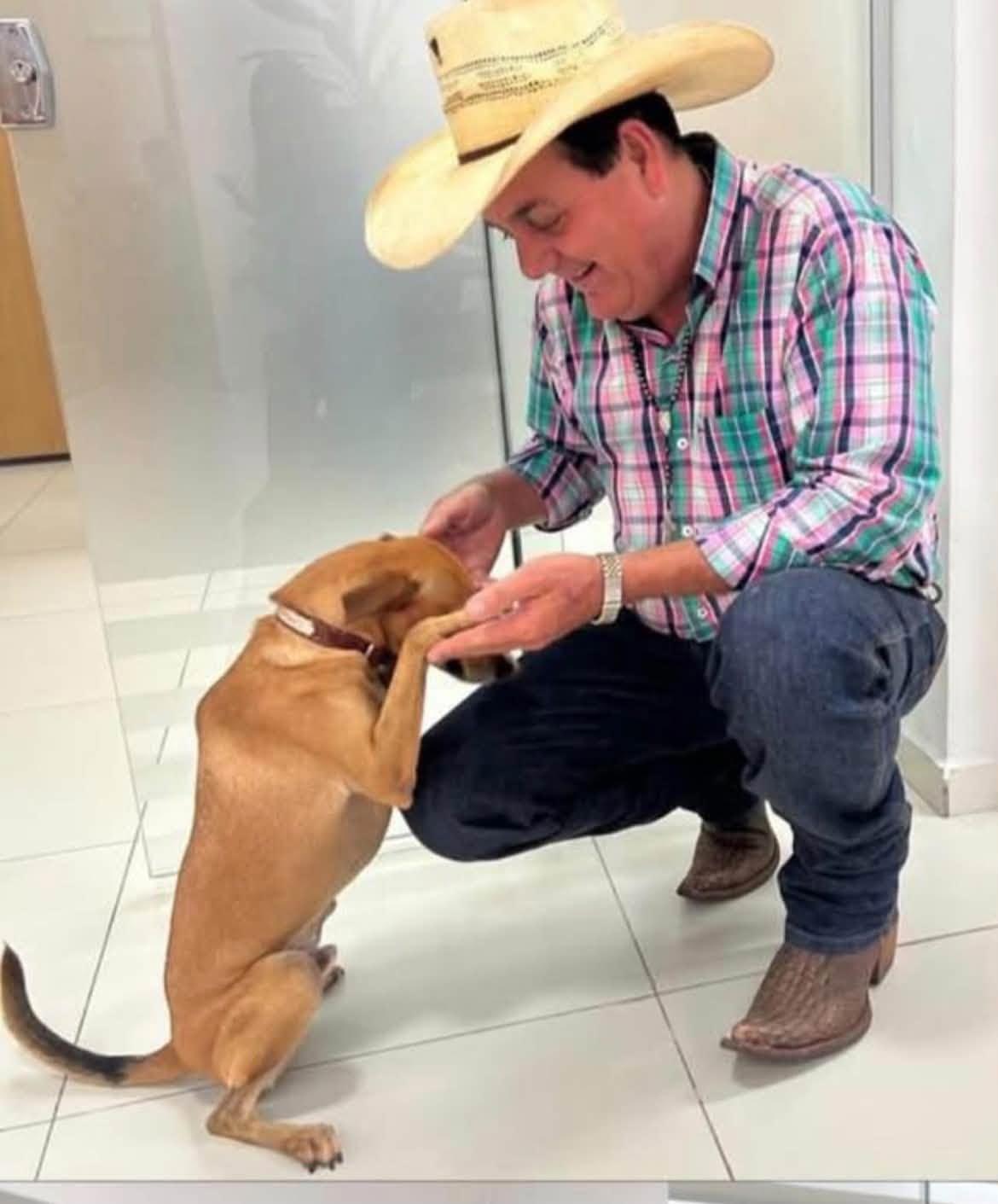 Guerreiro teve mais votos que dez candidatos de Três Lagoas juntos ao cargo de deputado estadual Guerreiro teve mais votos que dez candidatos de Três Lagoas juntos ao cargo de deputado estadual