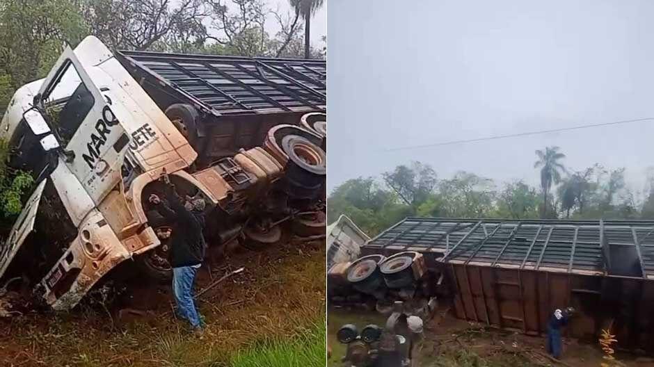 Caminhão de bois tomba e lataria é serrada para remover animais na MS-384  