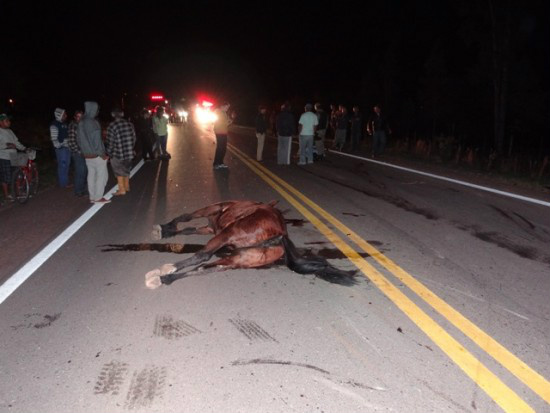Condutor de cavalo morre na BR-158 após se envolver em acidente com carro