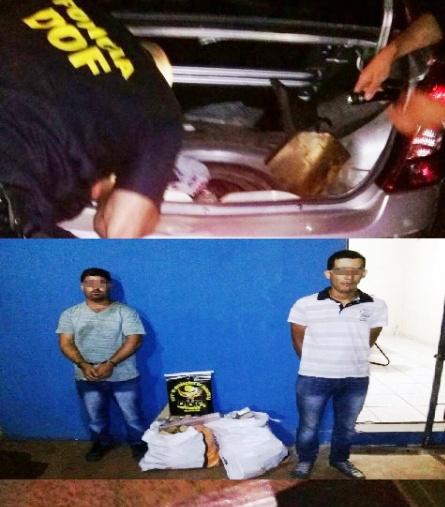 Maconha que passaria por Três Lagoas é interceptada pelo DOF na MS-395