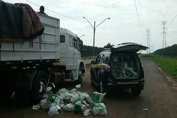 Motorista que transportava maconha com destino à Aparecida do Taboado é preso na BR-262