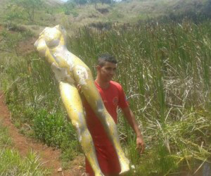 Manequim boiando em lago é confundido com pessoa e mobiliza bombeiros
