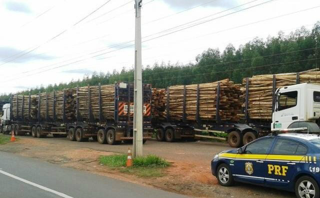 PRF autua 31 caminhões carregados com toras de eucalipto PRF autua 31 caminhões carregados com toras de eucalipto