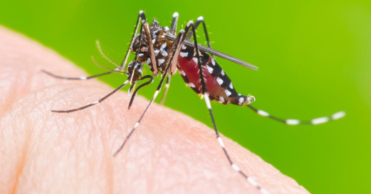 Unidades de Saúde abrirão em horário especial para atender casos suspeitos de dengue