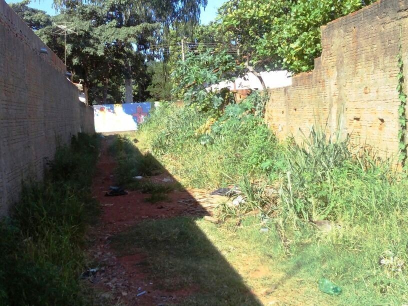 Donos de terrenos baldios serão notificados na próxima semana Donos de terrenos baldios serão notificados na próxima semana