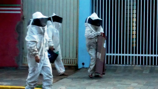 Ataque de abelhas no Centro interdita rua e mobiliza os bombeiros