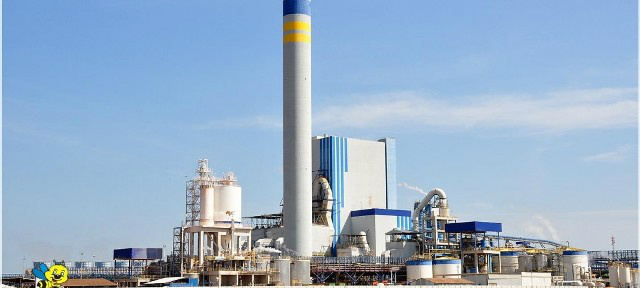 Fibria adquire participação na canadense CelluForce