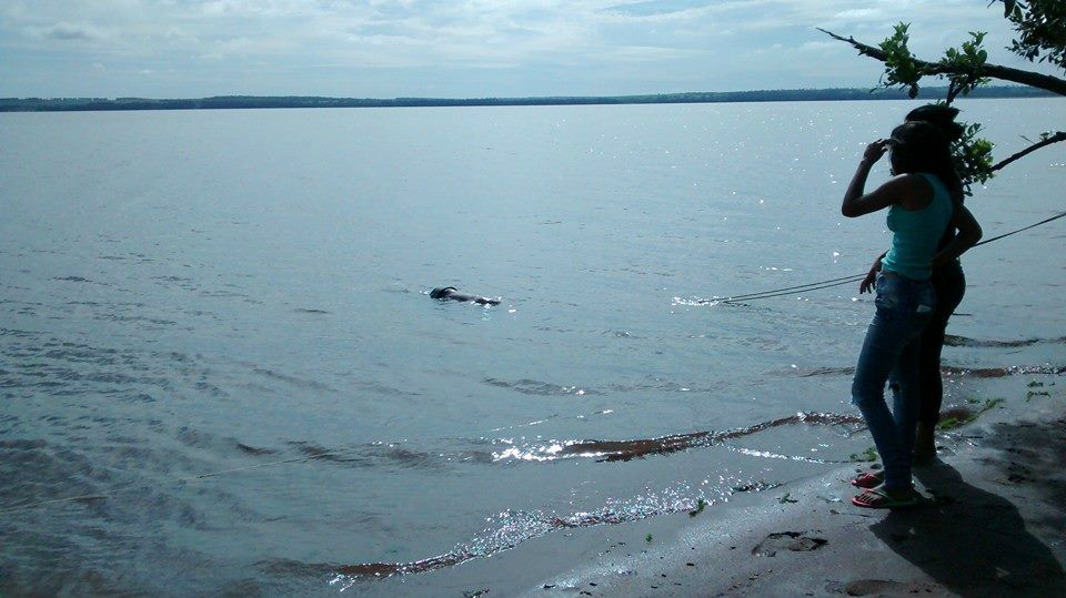 Corpo de jovem que morreu afogado no Rio Paraná em Três Lagoas é encontrado Corpo de jovem que morreu afogado no Rio Paraná em Três Lagoas é encontrado