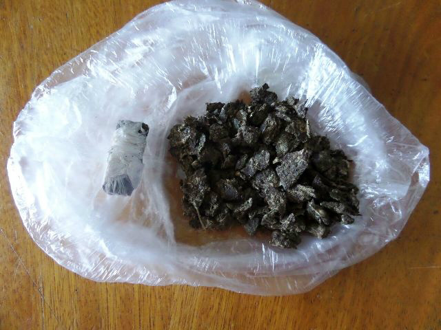 Maconha é encontrada em cela do Presídio Feminino Maconha é encontrada em cela do Presídio Feminino
