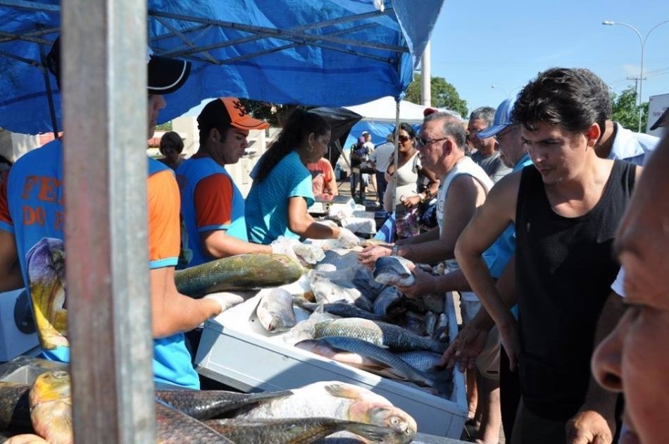 Feira Livre terá funcionamento extra no final do ano
