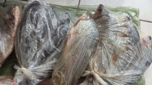 Pescador três-lagoense é multado em R$ 1.300 pela PMA Pescador três-lagoense é multado em R$ 1.300 pela PMA