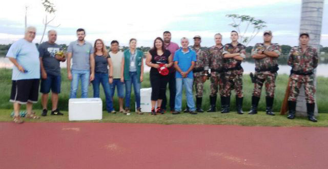 Ovos de jacaré encontrados na lagoa são levados para Ilha Solteira-SP 
